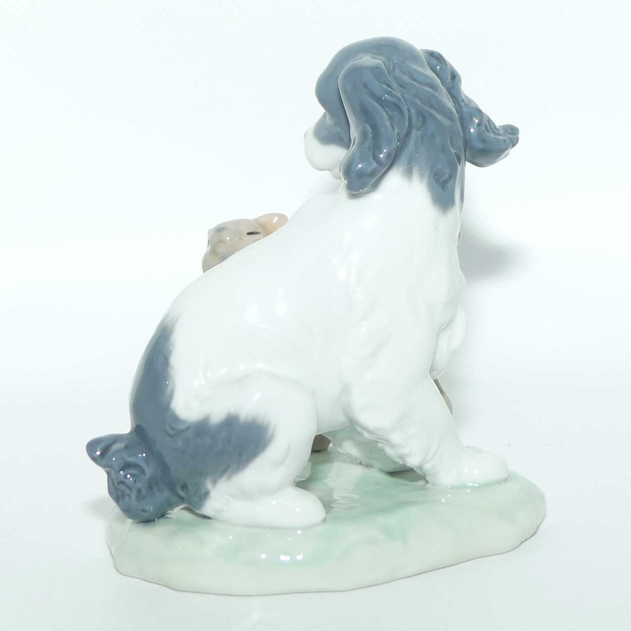 Nao figure Dog and Cat in Harmony | #1048