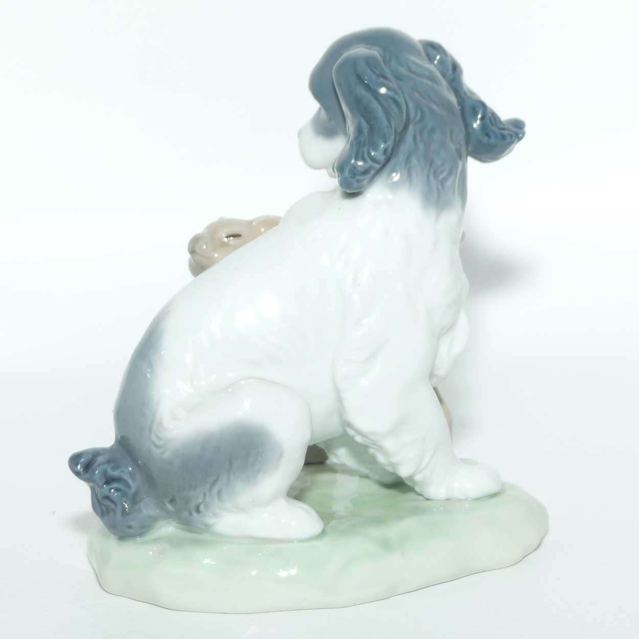 Nao figure Dog and Cat in Harmony | #1048