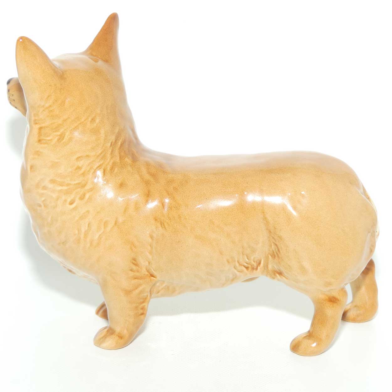 #1299B Beswick Corgi | Gloss