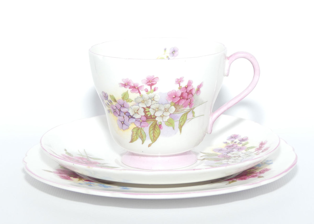 Shelley Richmond shape Stocks trio | #13428