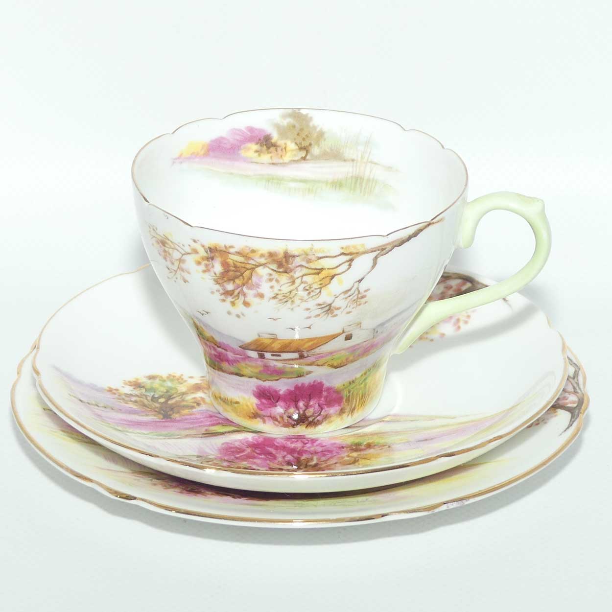 Shelley New Cambridge shape Old Ireland trio | 13657