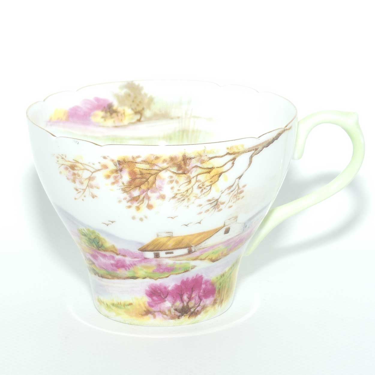 Shelley New Cambridge shape Old Ireland trio | 13657