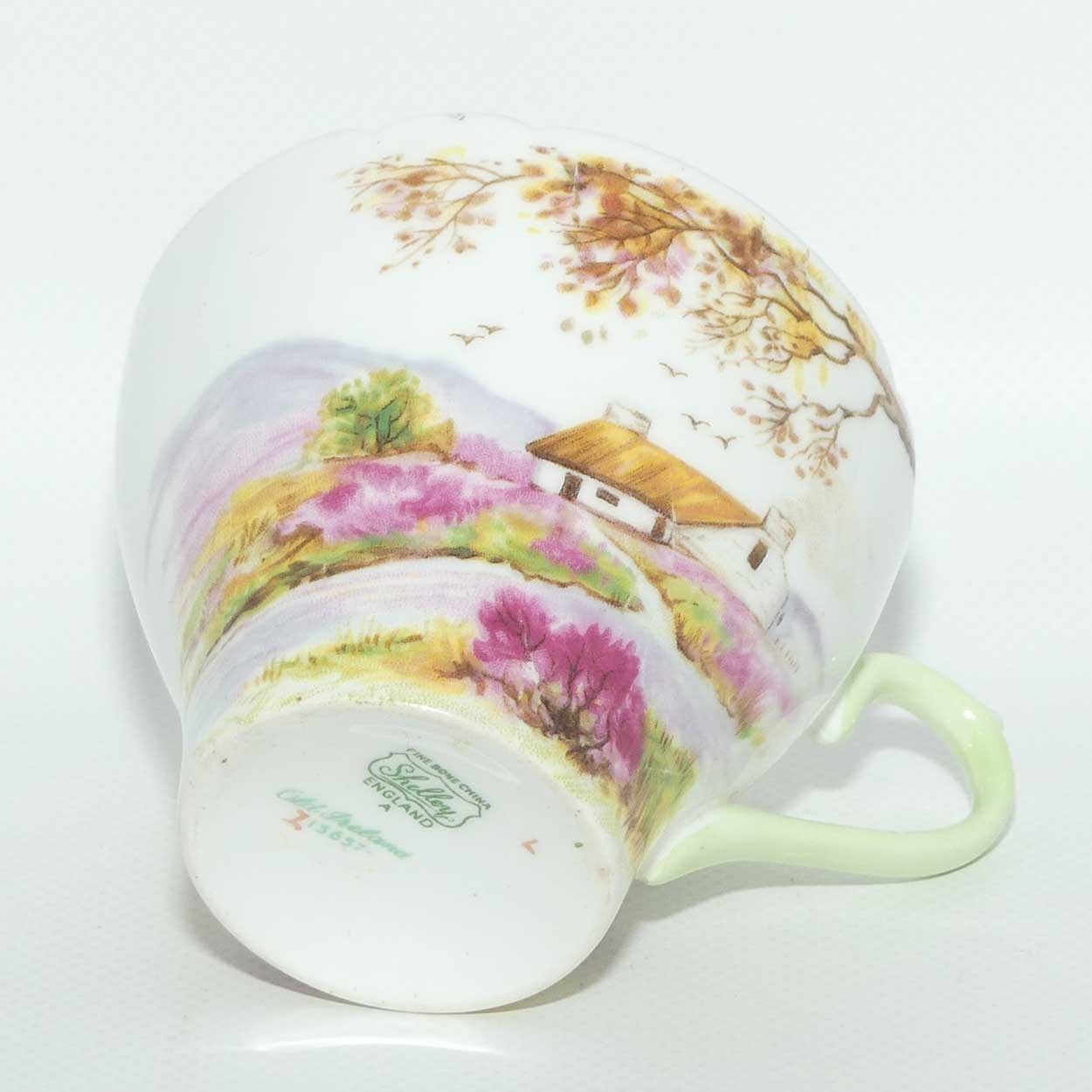 Shelley New Cambridge shape Old Ireland trio | 13657