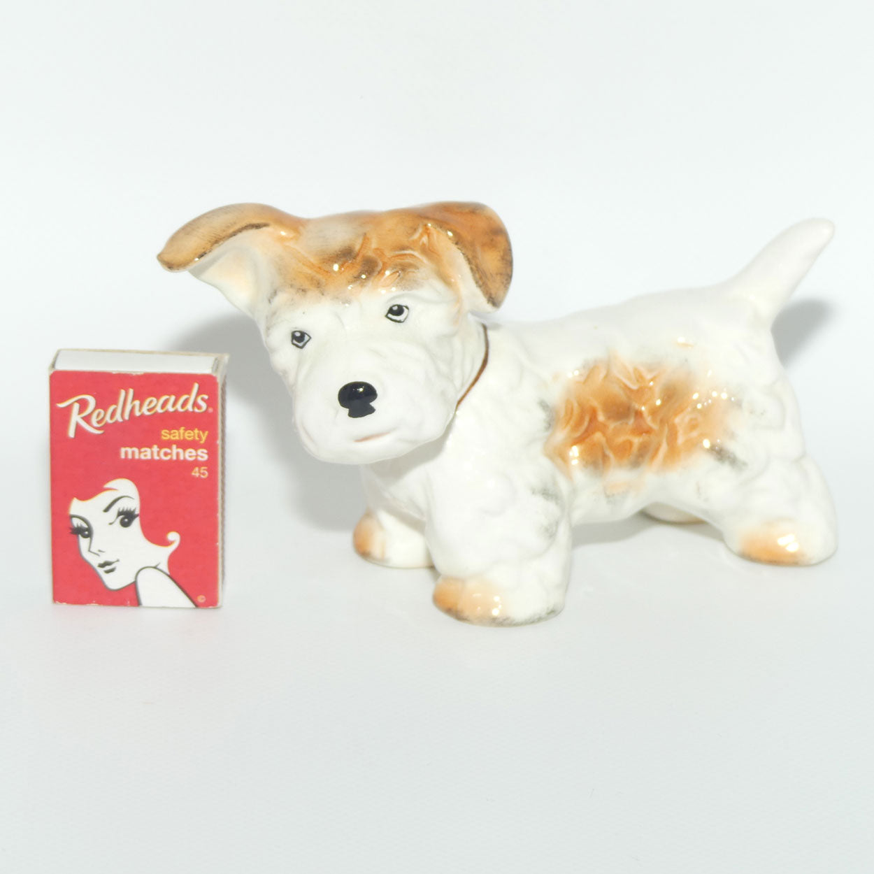 SylvaC #1379 | Dog | Terrier