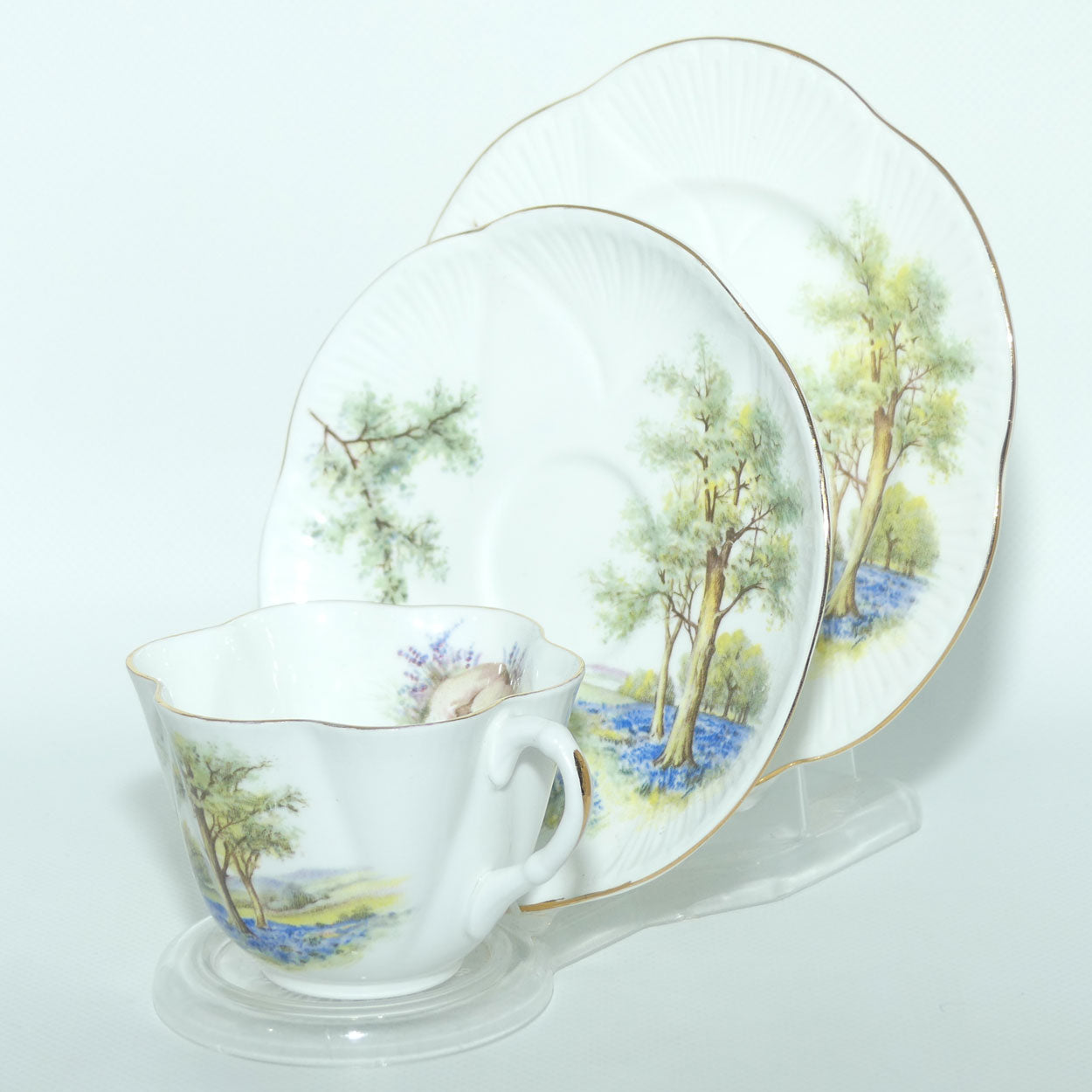 Shelley Dainty shape Bluebell Wood trio | 14286