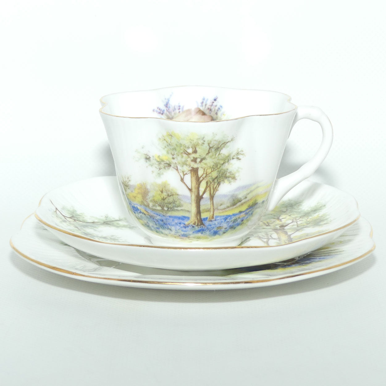 Shelley Dainty shape Bluebell Wood trio | 14286