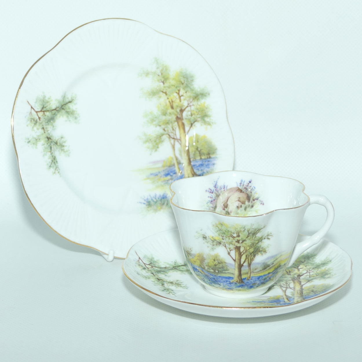 Shelley Dainty shape Bluebell Wood trio | 14286