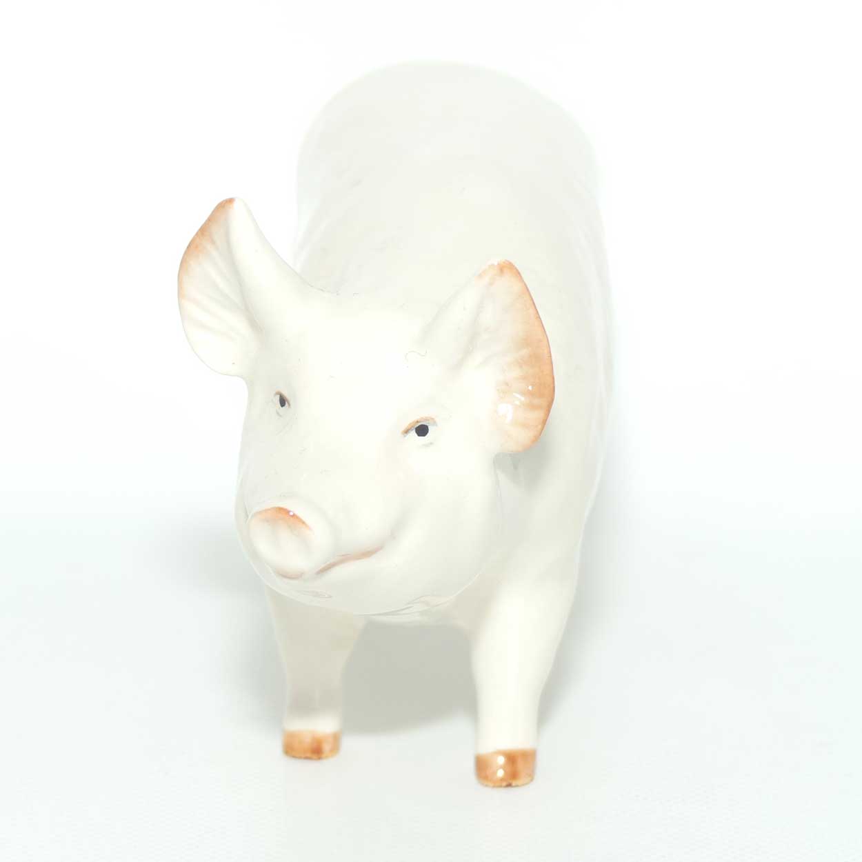 #1453A Beswick Pig | Boar Ch. Wall Champion Boy 53rd