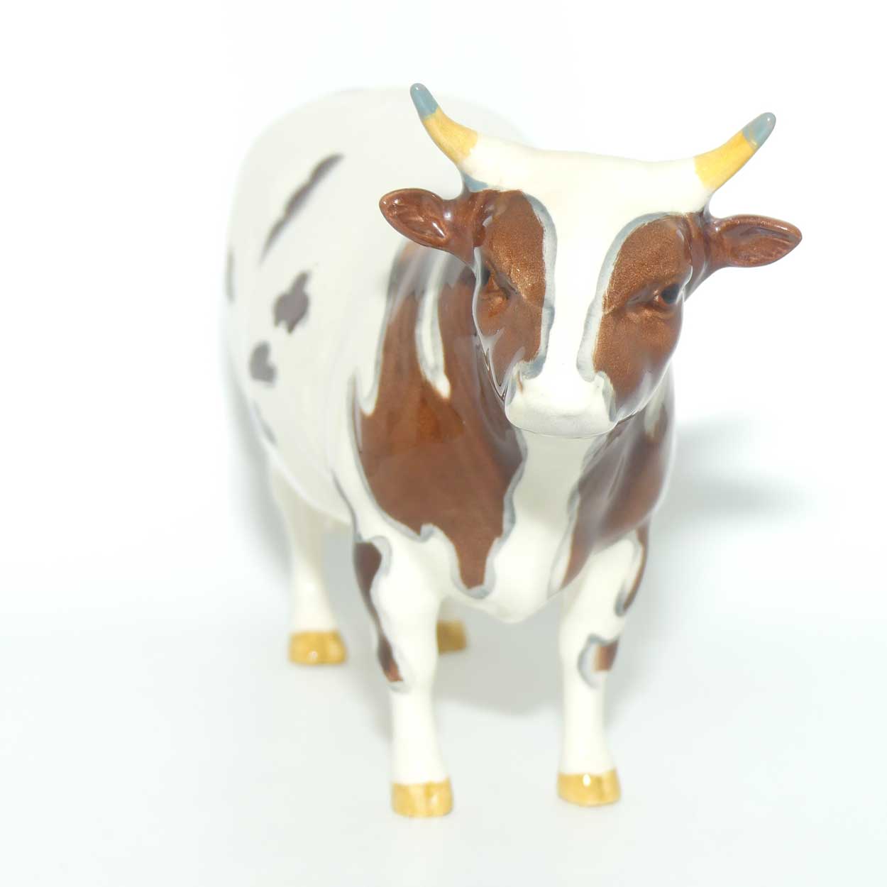 #1454B Beswick Ayrshire Bull | Ch Whitehill Mandate