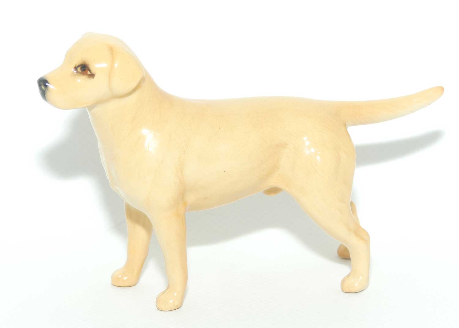 #1956 Beswick Labrador | Golden | Small