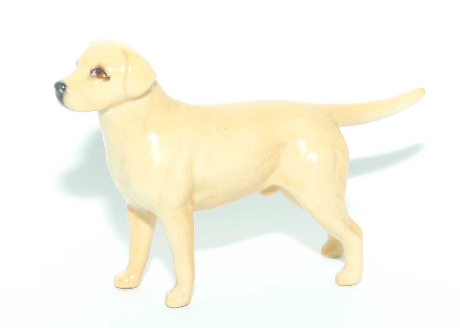 #1956 Beswick Labrador | Golden | Small