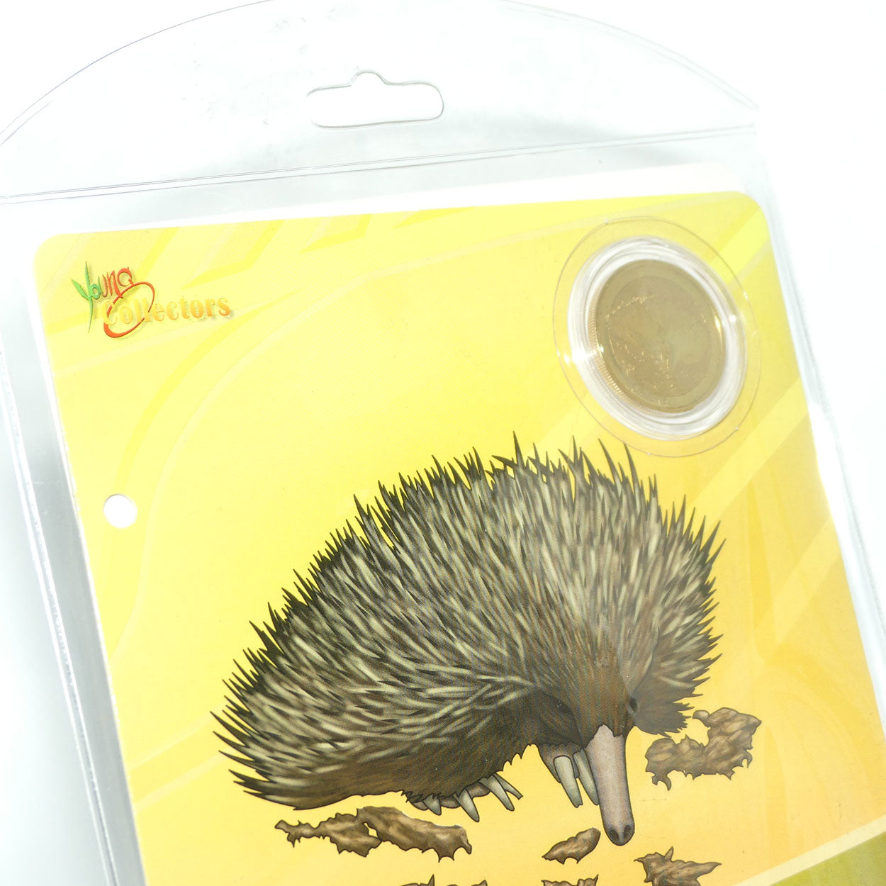 2008 Perth Mint Australian Animal $1 Coin | Young Collectors series | Echidna | UNC