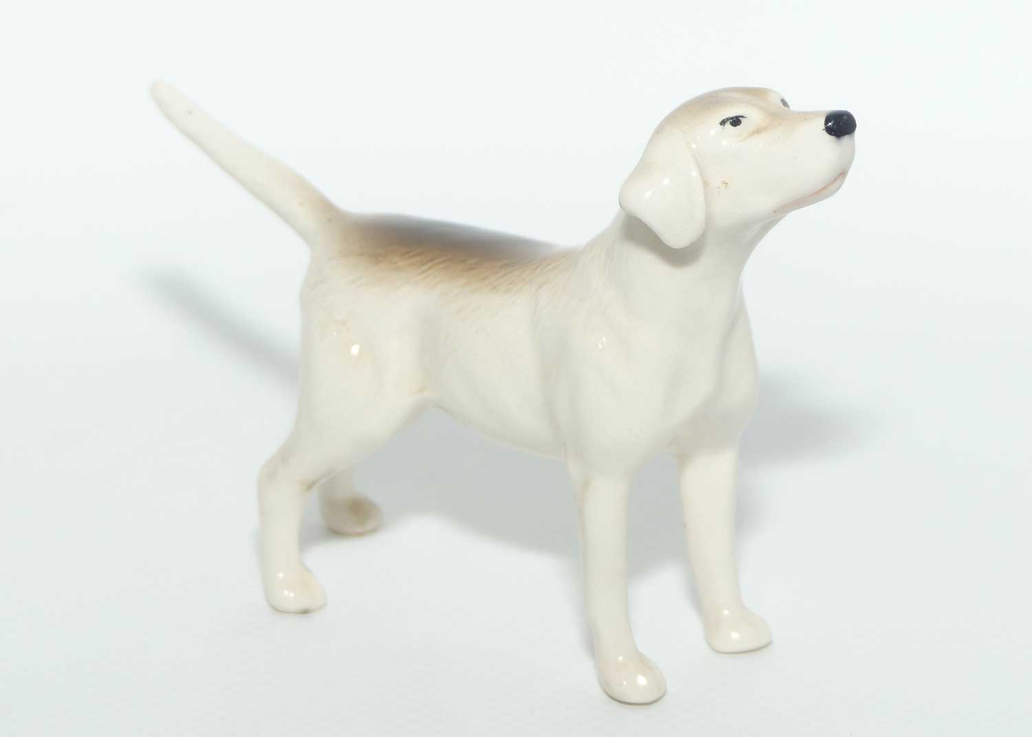 #2262 Beswick Foxhound | Looking Up | Thin Legs and Tail | Gloss