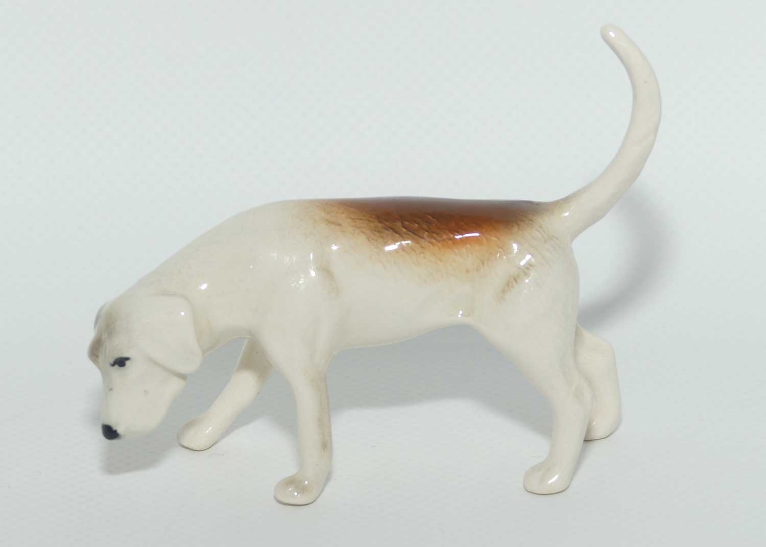 #2264 Beswick Foxhound | Looking Down | Tail Curled | Gloss