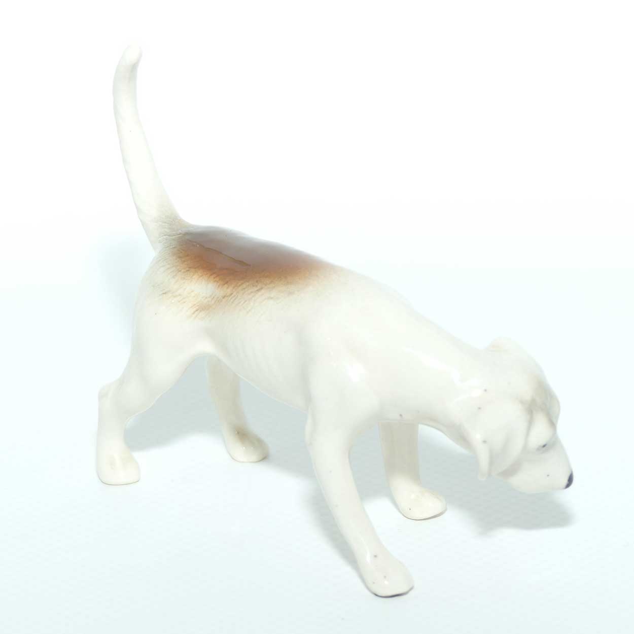 #2264 Beswick Foxhound | Looking Down | Tail Curled | Gloss