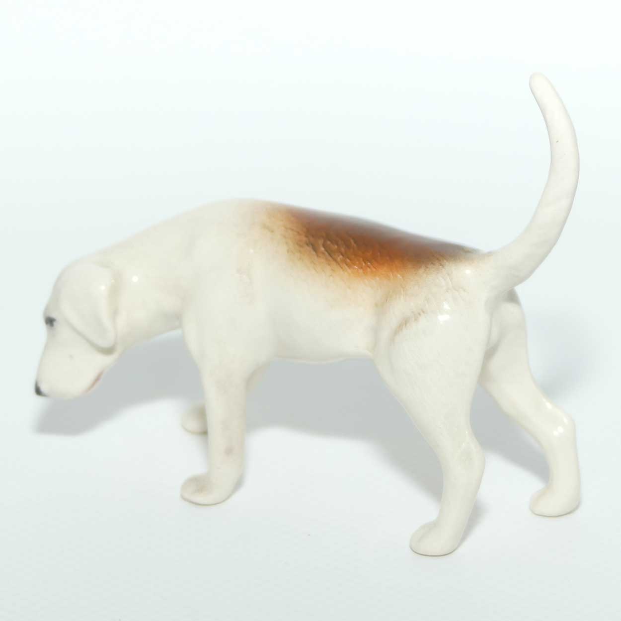 #2264 Beswick Foxhound | Looking Down | Tail Curled | Gloss