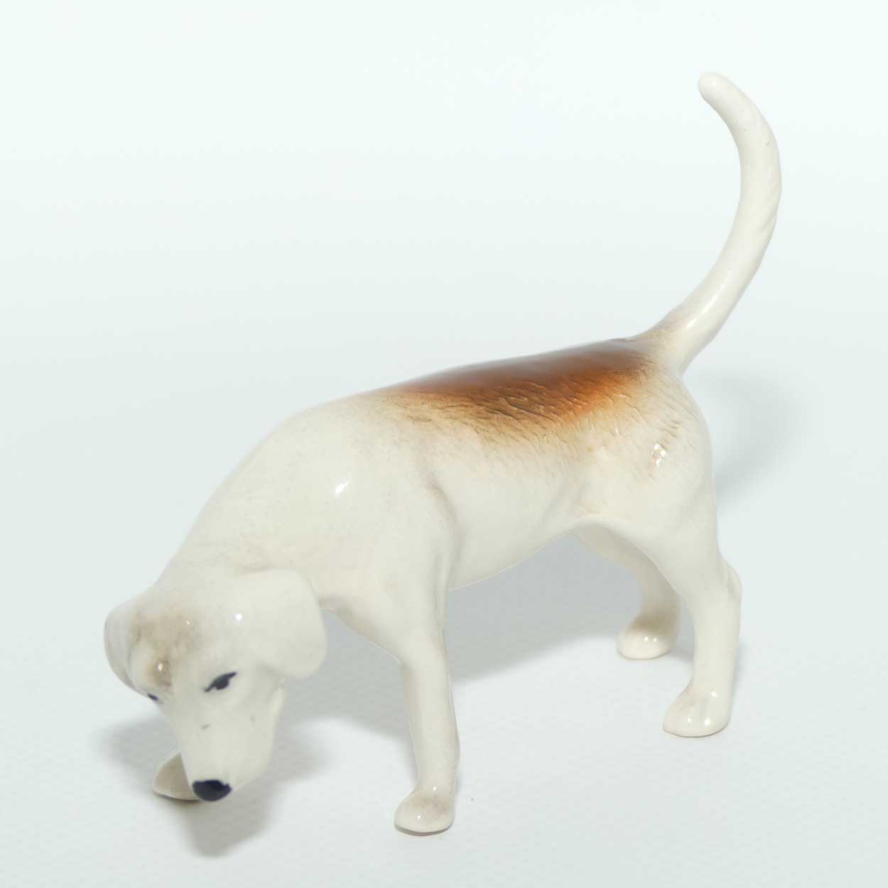 #2264 Beswick Foxhound | Looking Down | Tail Curled | Gloss