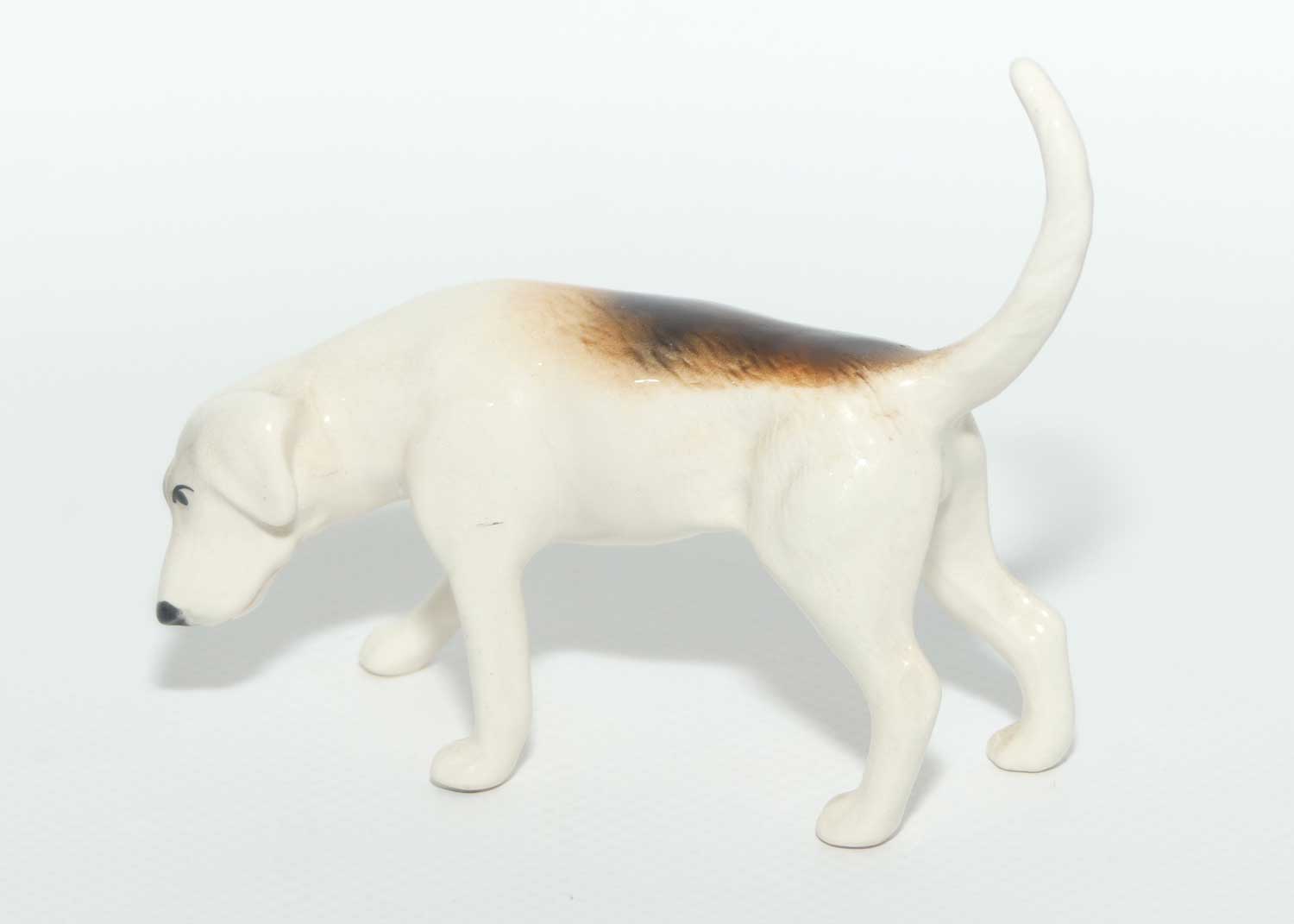 #2264 Beswick Foxhound | Looking Down | Tail Curled | Gloss