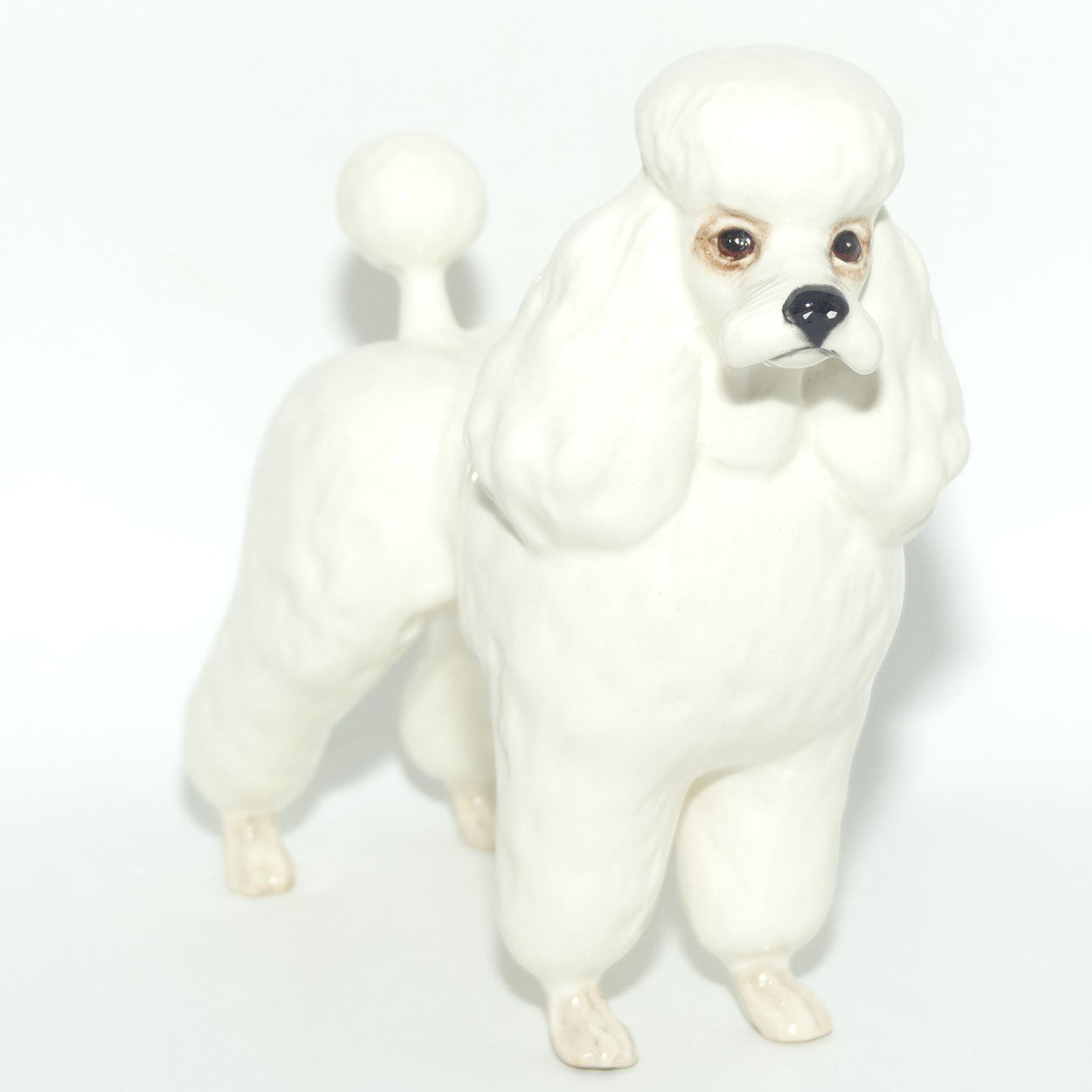 #2339 Poodle | White | Gloss