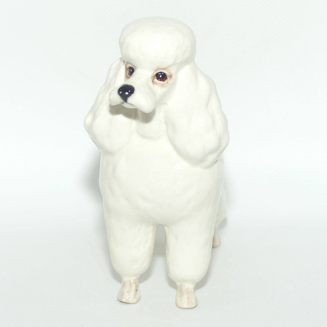 #2339 Poodle | White | Gloss
