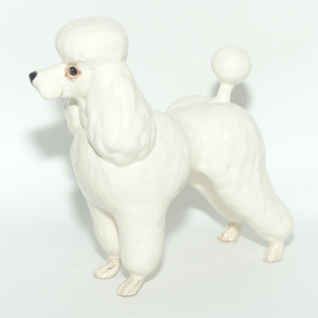 #2339 Poodle | White | Gloss