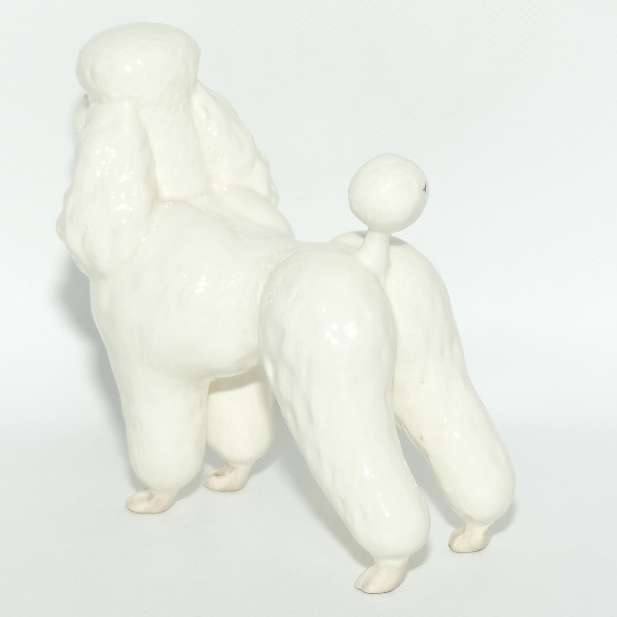 #2339 Poodle | White | Gloss