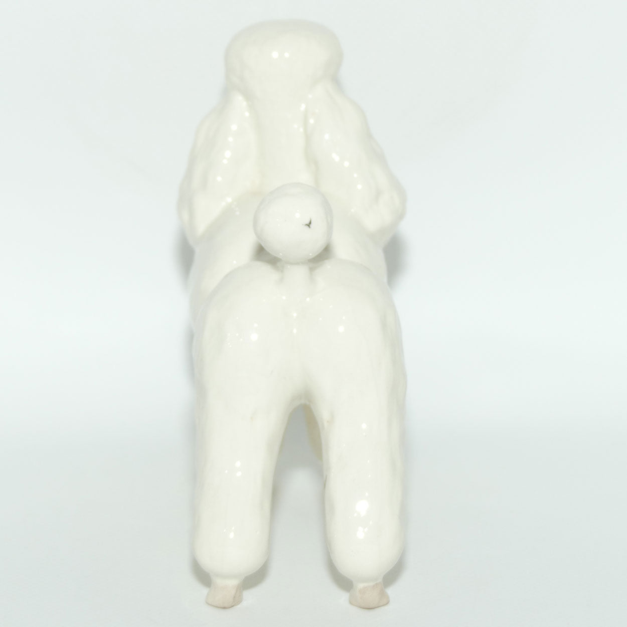 #2339 Poodle | White | Gloss