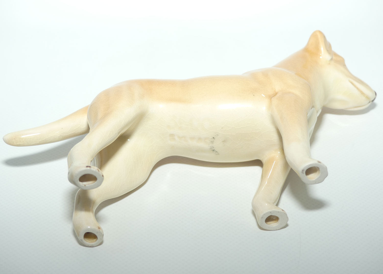 SylvaC #3500 | Dog | Labrador