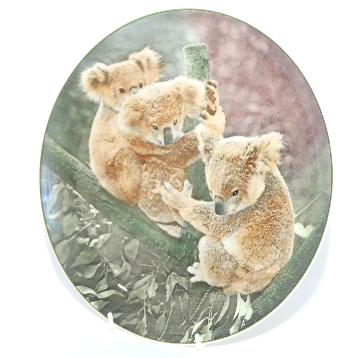 Royal Doulton Australian Views plate #5 | Koala Bears D6424 | #2