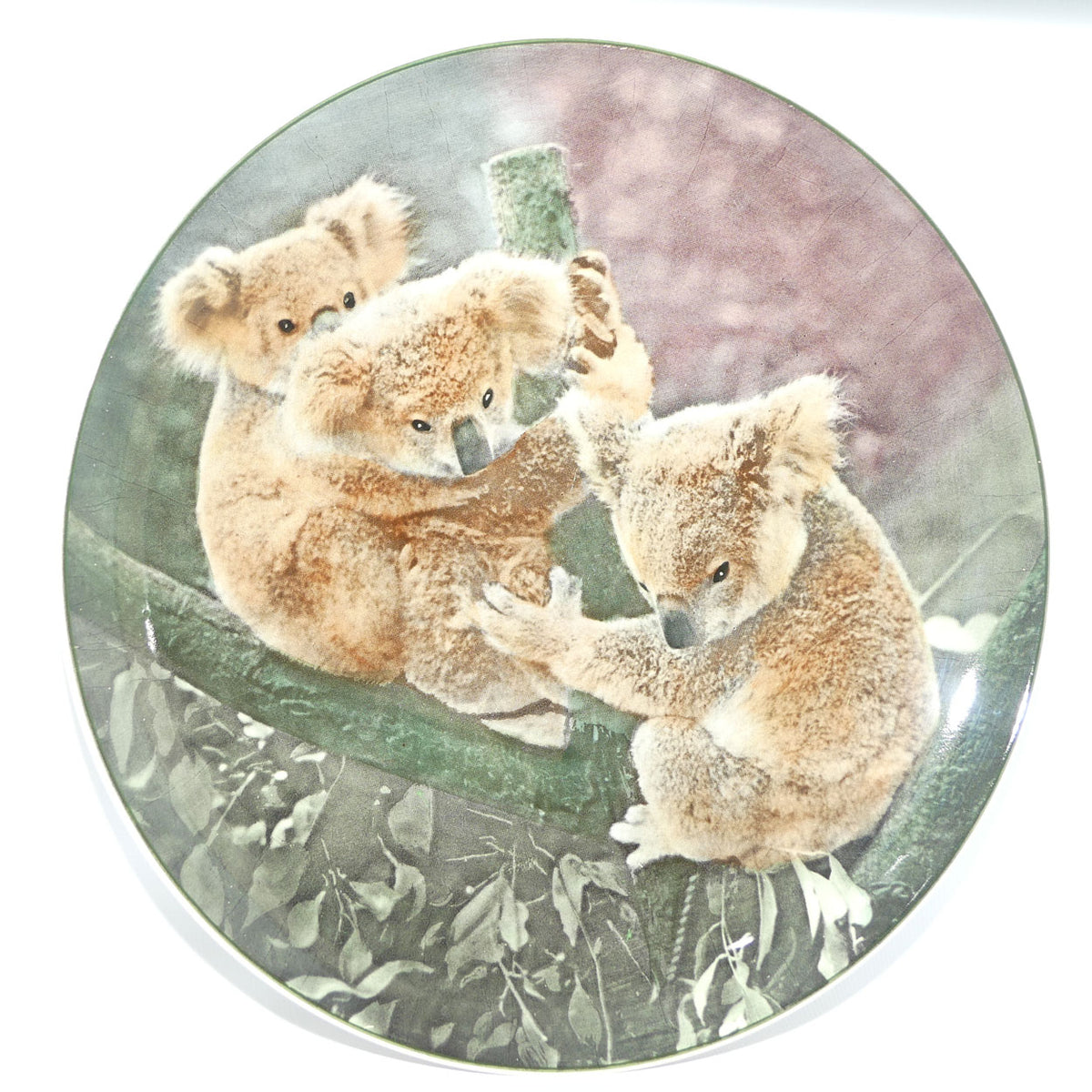 Royal Doulton Australian Views plate #5 | Koala Bears D6424 | #2