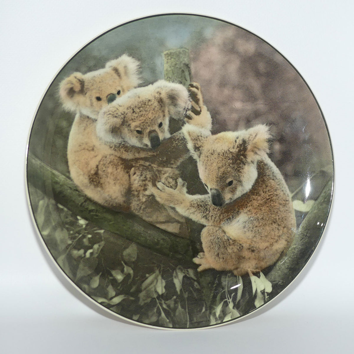 Royal Doulton Australian Views plate #5 | Koala Bears D6424 | #3
