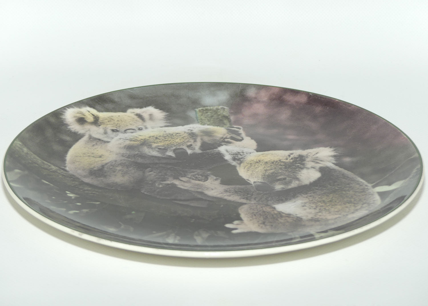 Royal Doulton Australian Views plate #5 | Koala Bears D6424 | #1
