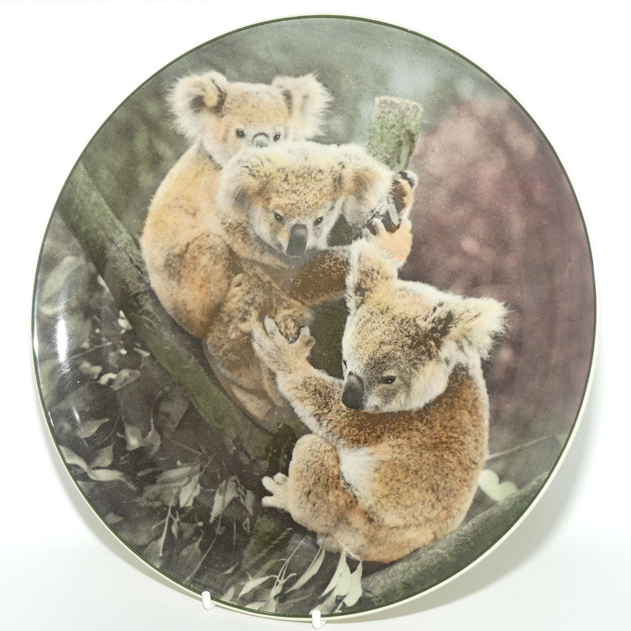 Royal Doulton Australian Views plate #5 | Koala Bears D6424 | #2