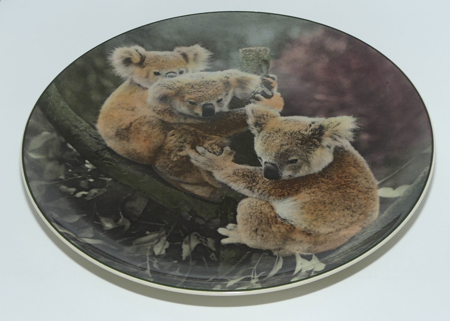 Royal Doulton Australian Views plate #5 | Koala Bears D6424 | #2