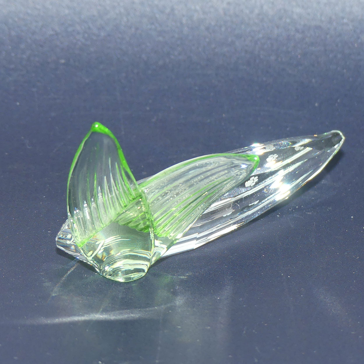 Swarovski Crystal #906929 | 2008 - 2010 SCS Endangered Wildlife display plaque | boxed