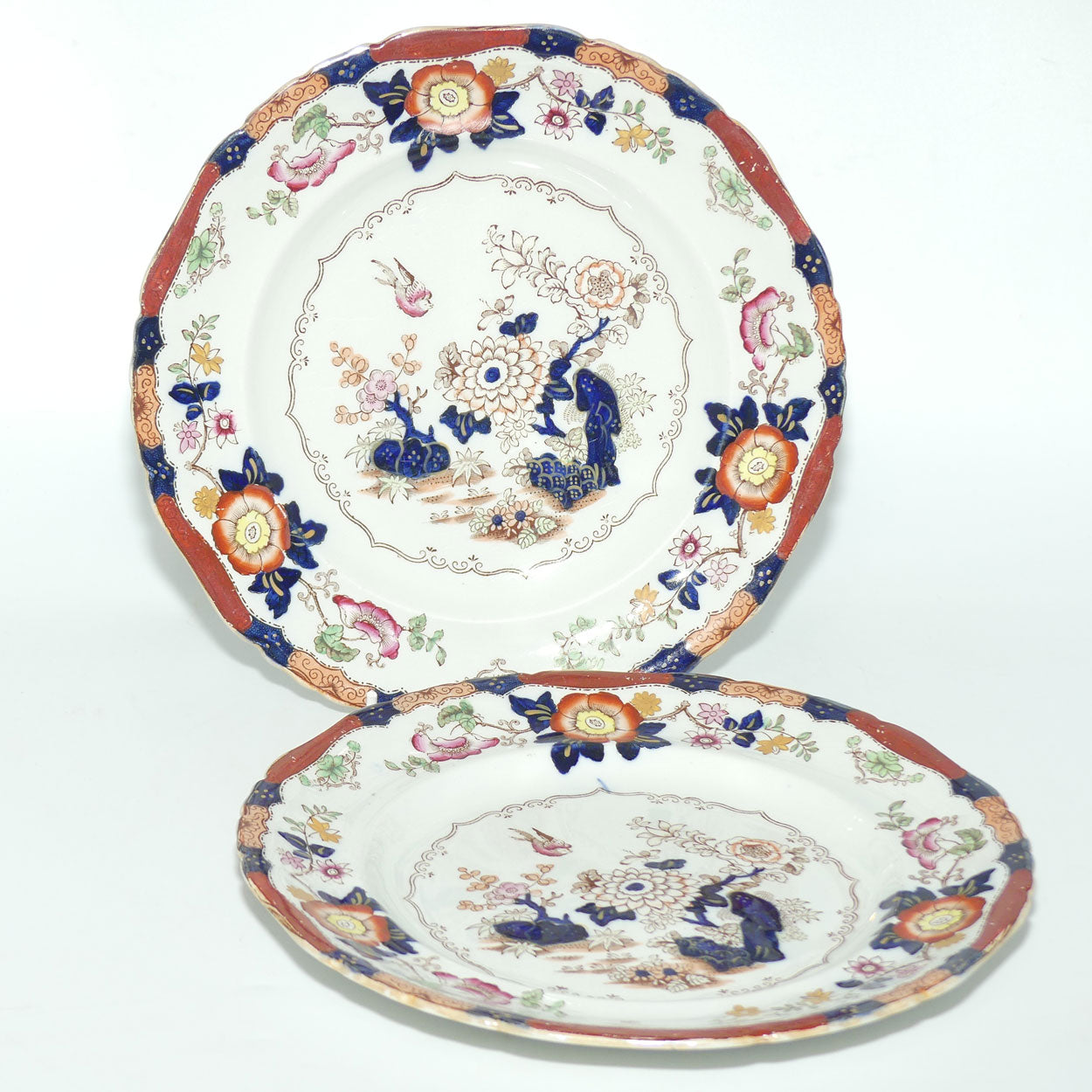 Masons Ironstone pair of cabinet plates | 23.5cm diam | Pattern B9178