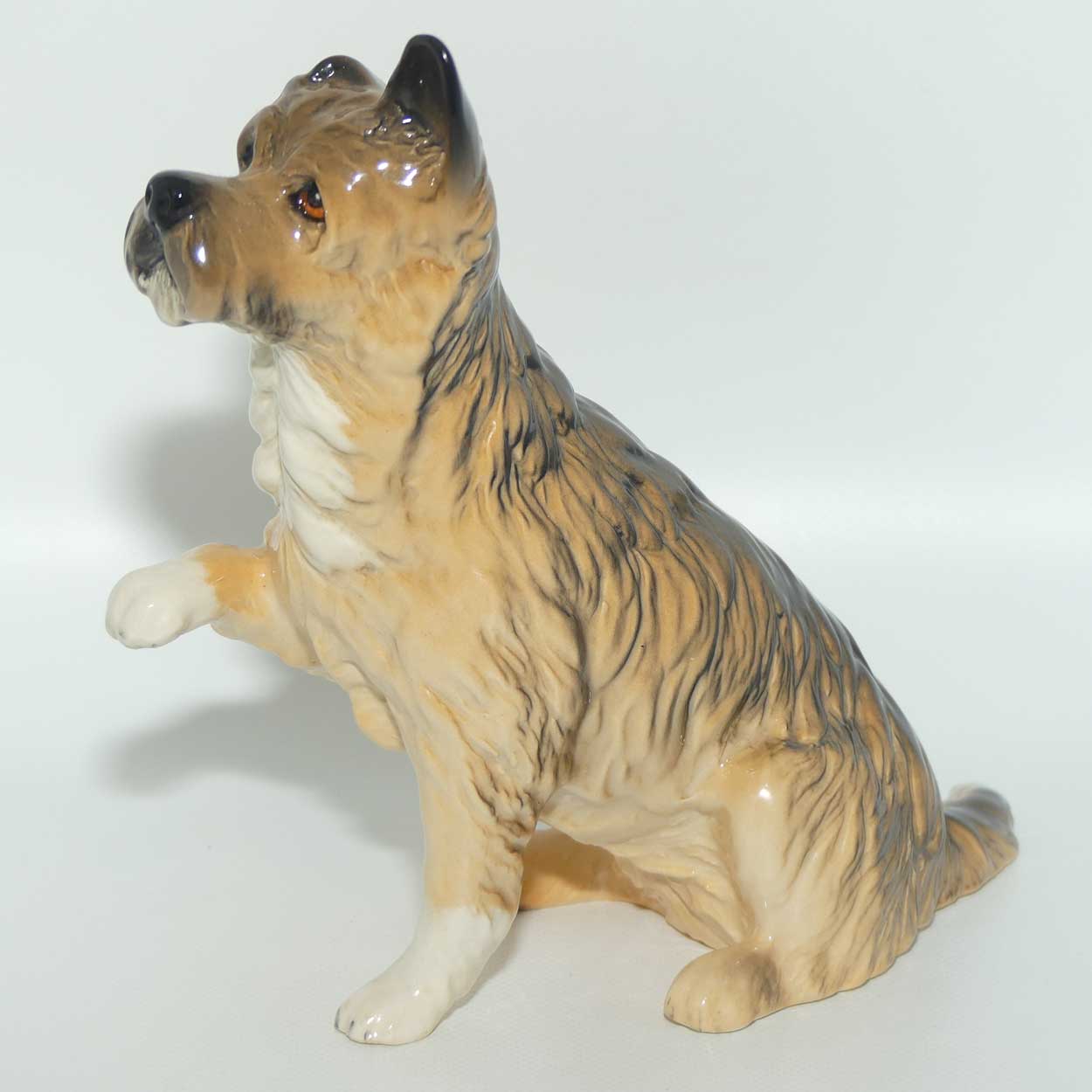 DA196 Royal Doulton Give Me a Home Dog