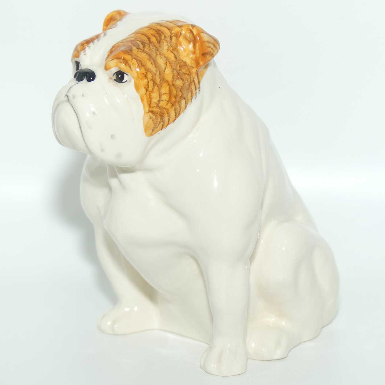 DA222 Royal Doulton Bulldog | Seated | White with Tan