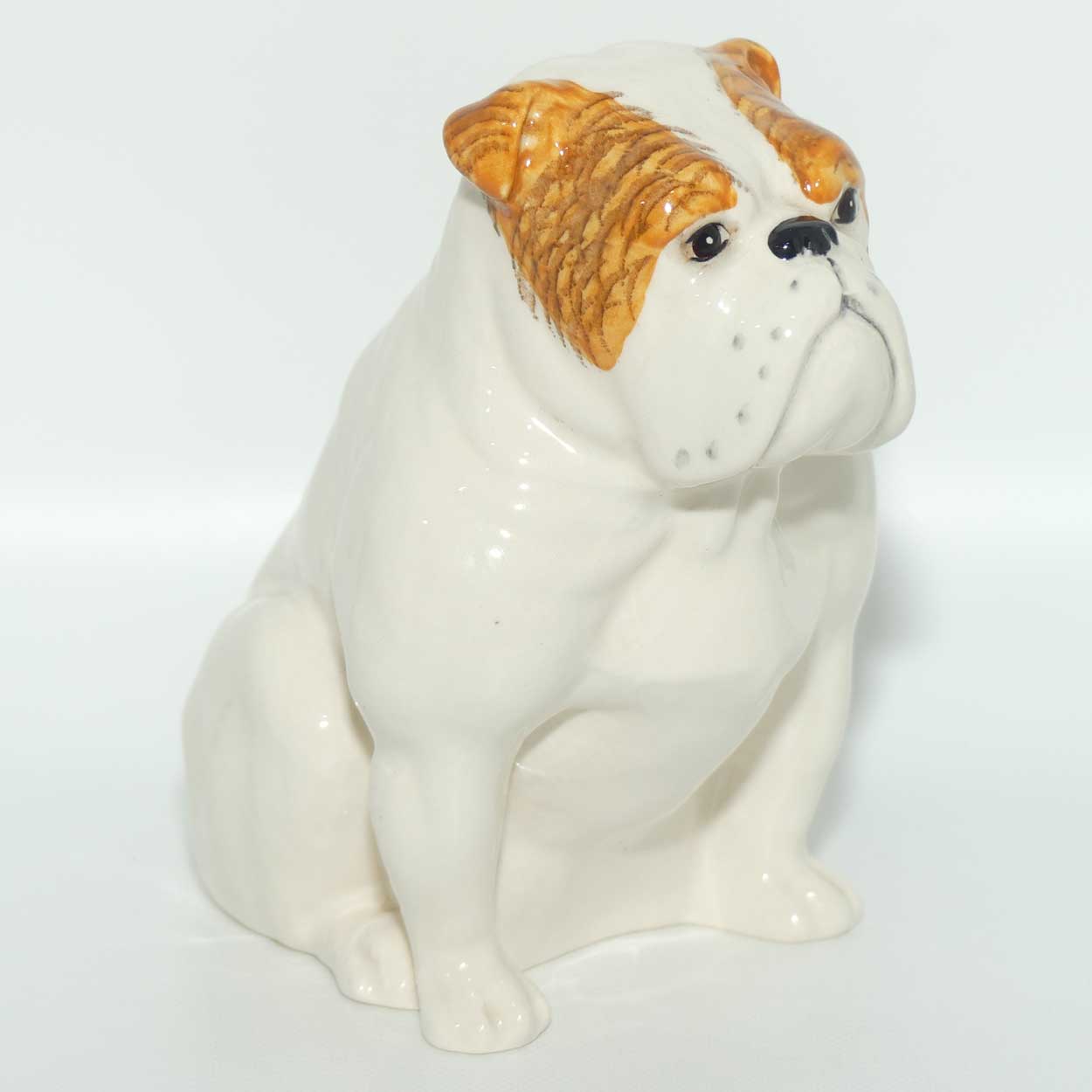 DA222 Royal Doulton Bulldog | Seated | White with Tan