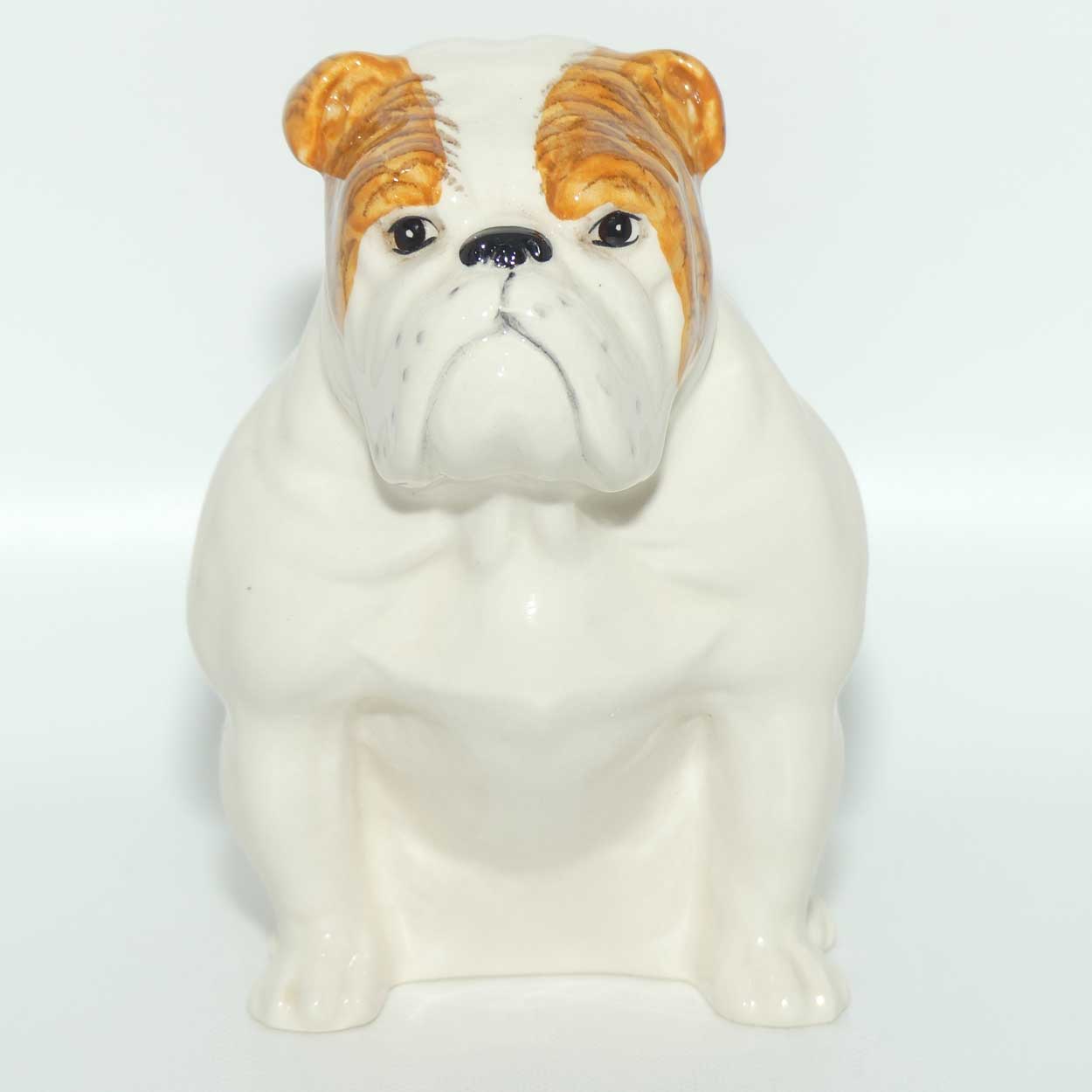 DA222 Royal Doulton Bulldog | Seated | White with Tan