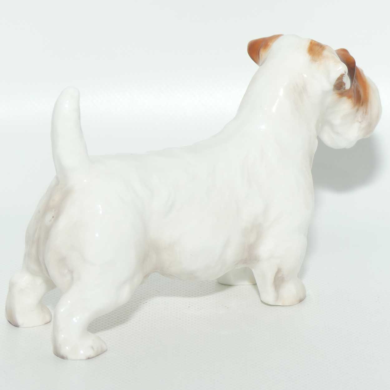 HN1032 Royal Doulton Sealyham | Ch Scotia Stylist | Small