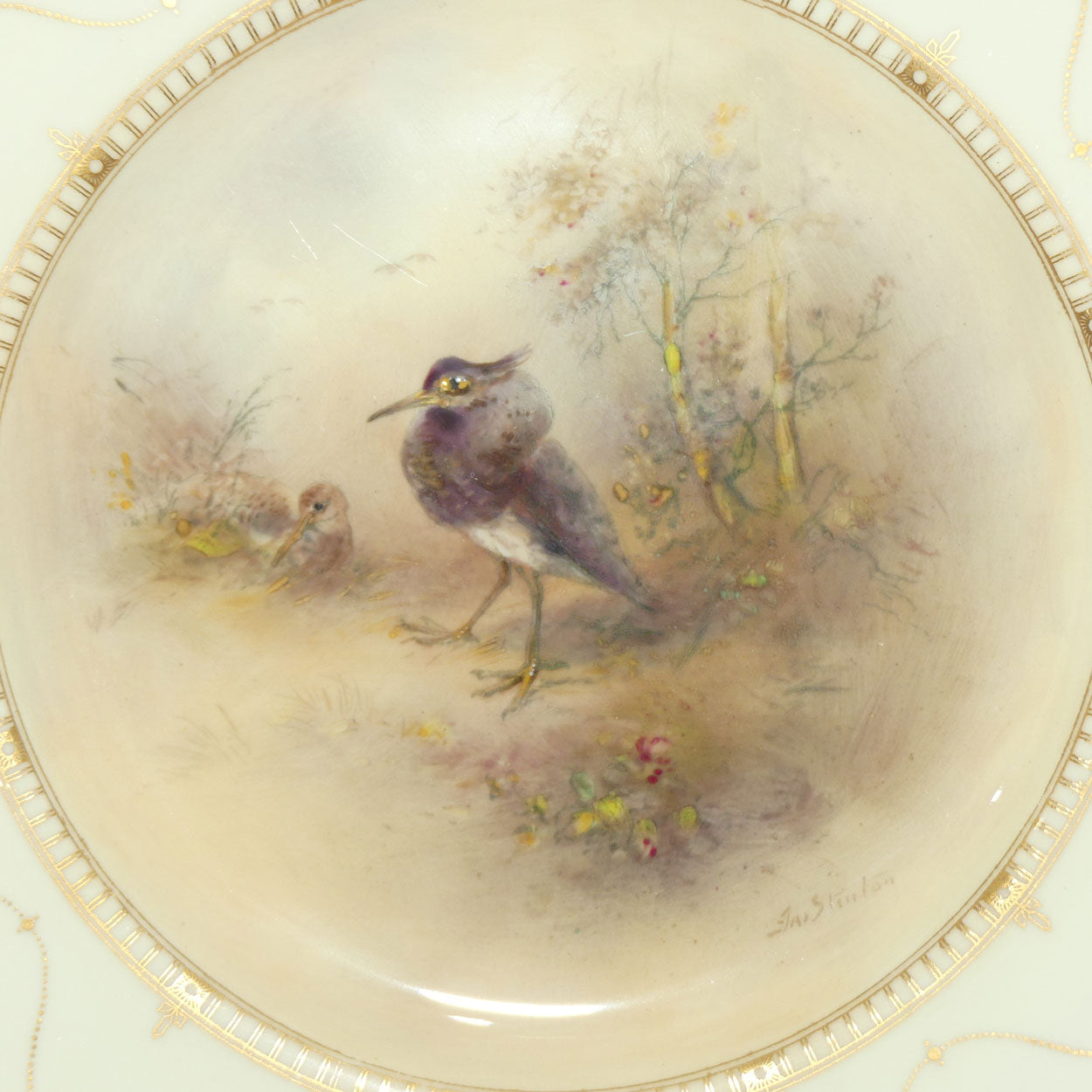 Royal Worcester hand painted Game Birds Ruff plate (JAS Stinton)