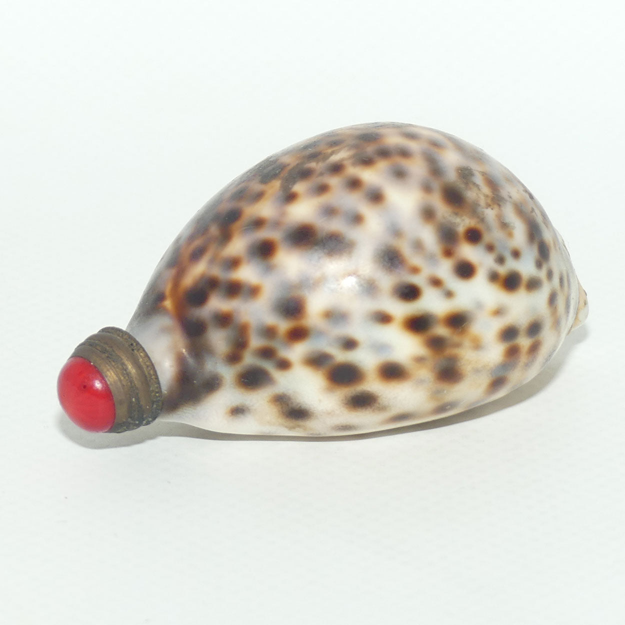 Chinese Snuff bottle | Leopard Cowrie Shell set with Seed Pearls