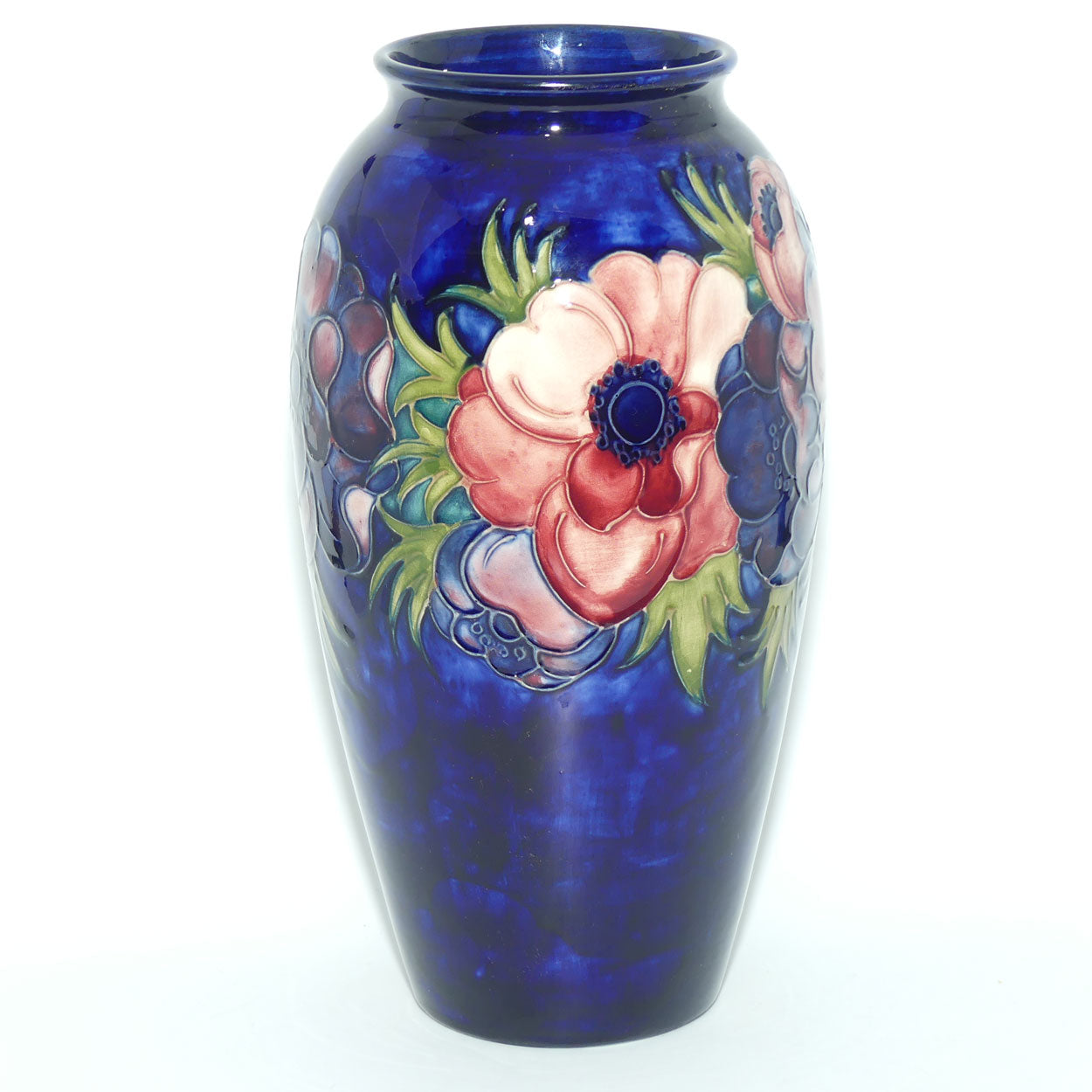 anem_blue_tallcylinder_393_10_1a