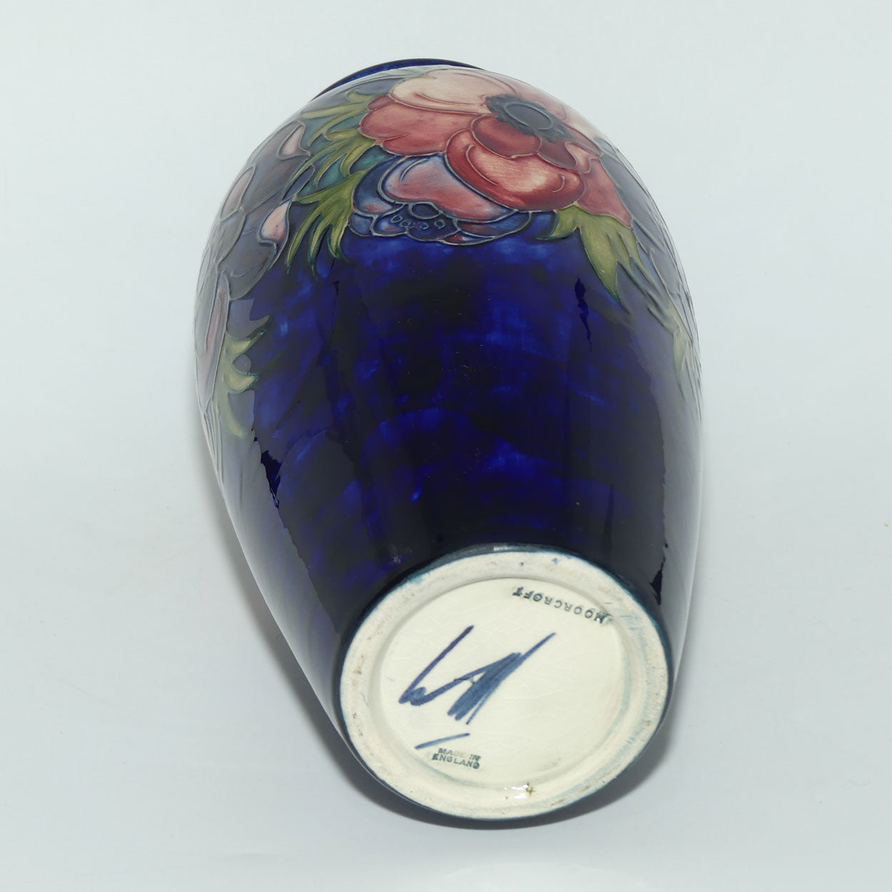 anem_blue_tallcylinder_393_10_1a