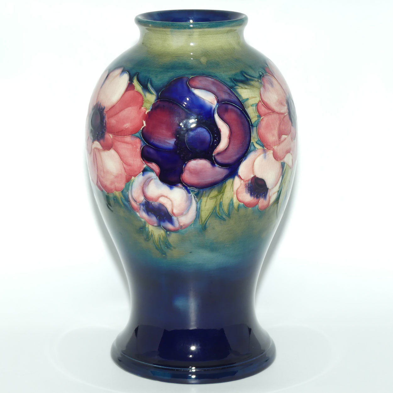 Walter Moorcroft Anemone on Green transition to Blue ground vase | 32cm tall