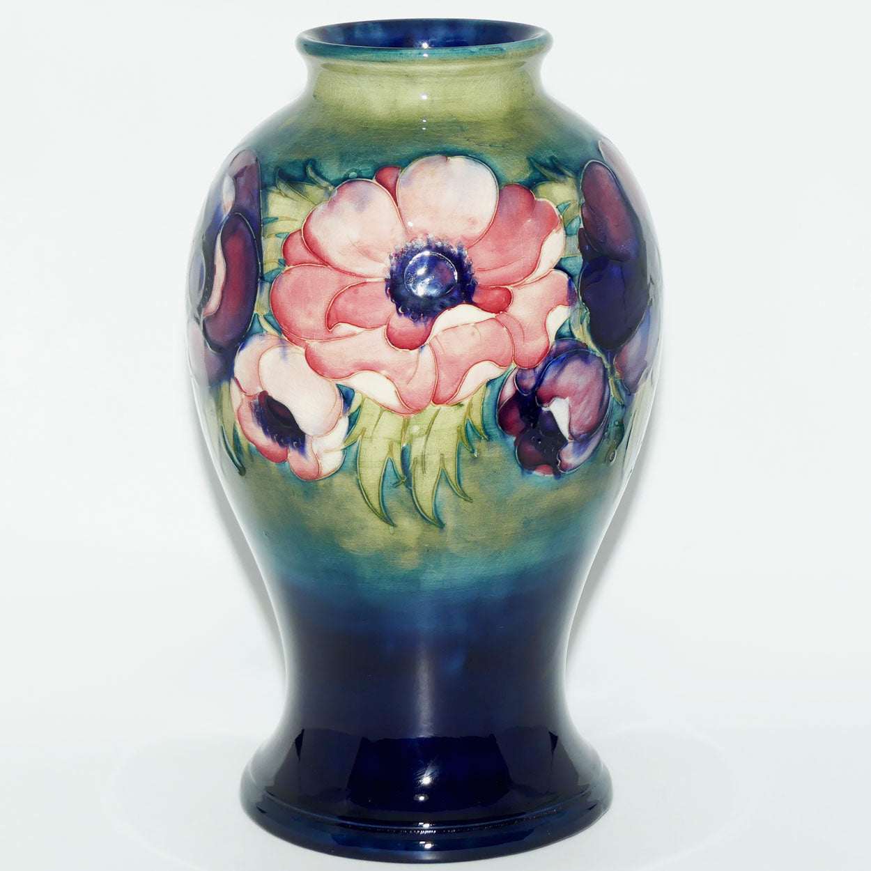 Walter Moorcroft Anemone on Green transition to Blue ground vase | 32cm tall