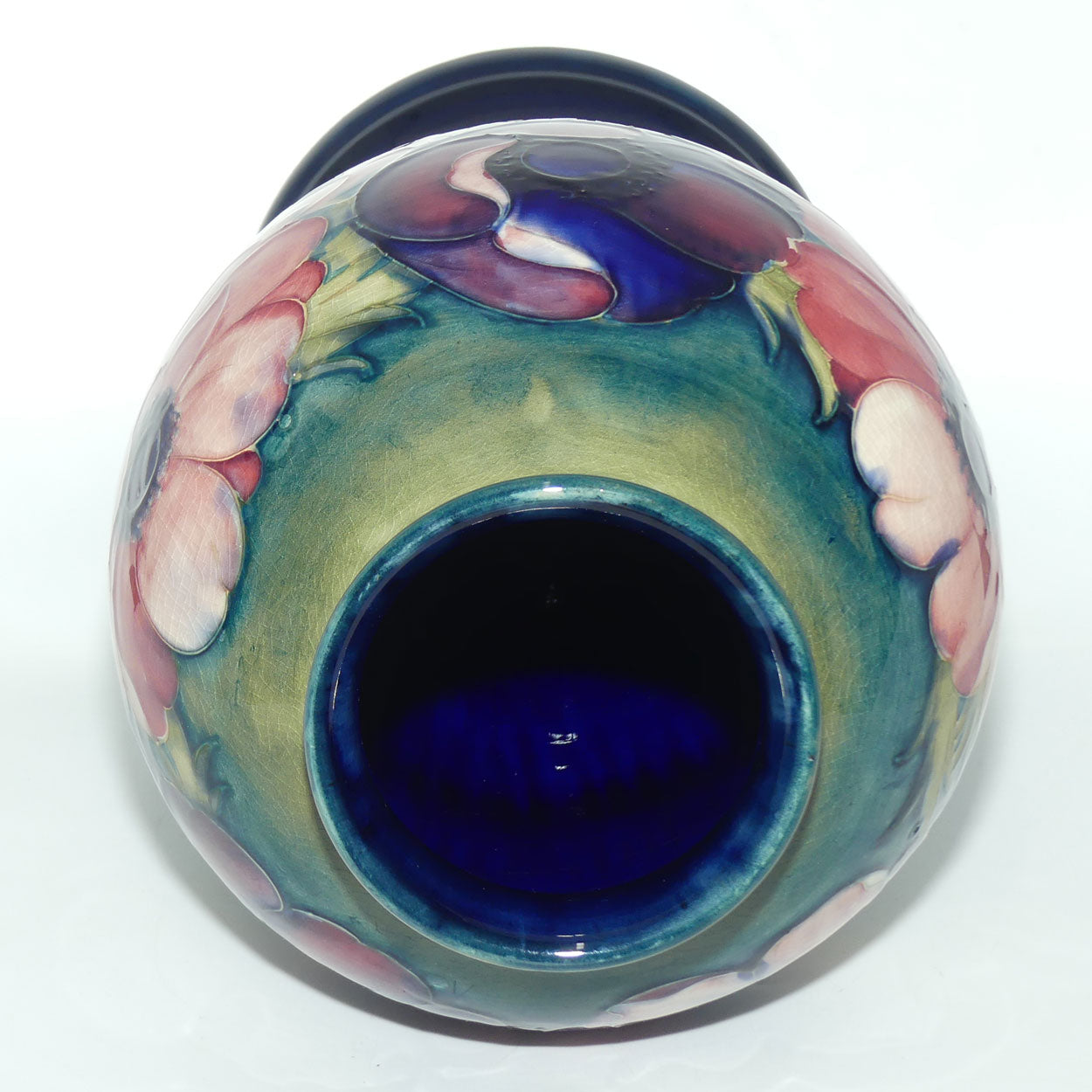 Walter Moorcroft Anemone on Green transition to Blue ground vase | 32cm tall