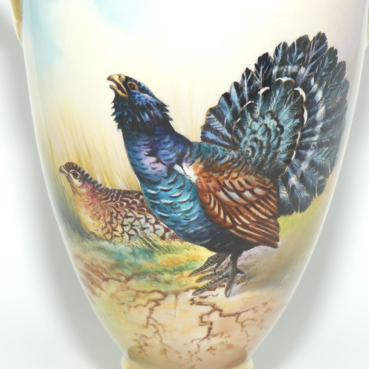 Aynsley Fine Art Collection Handpainted lidded Vase depicting the Capercaillie by J Shaw