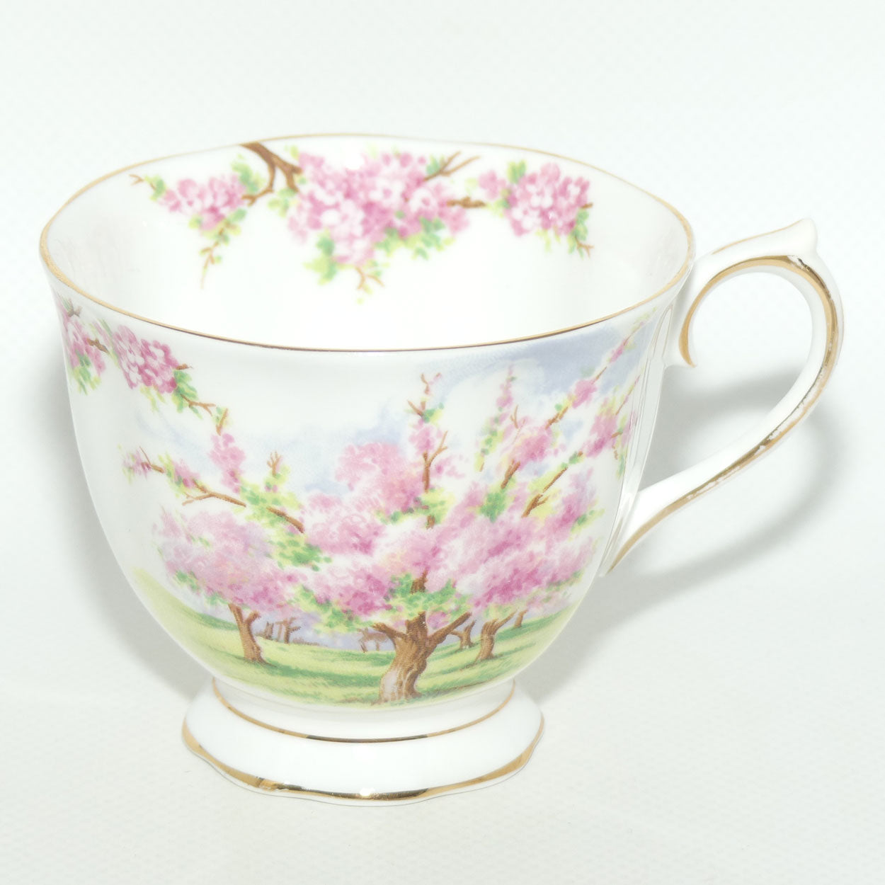 Royal Albert England Blossom Time tea trio | Malvern shape